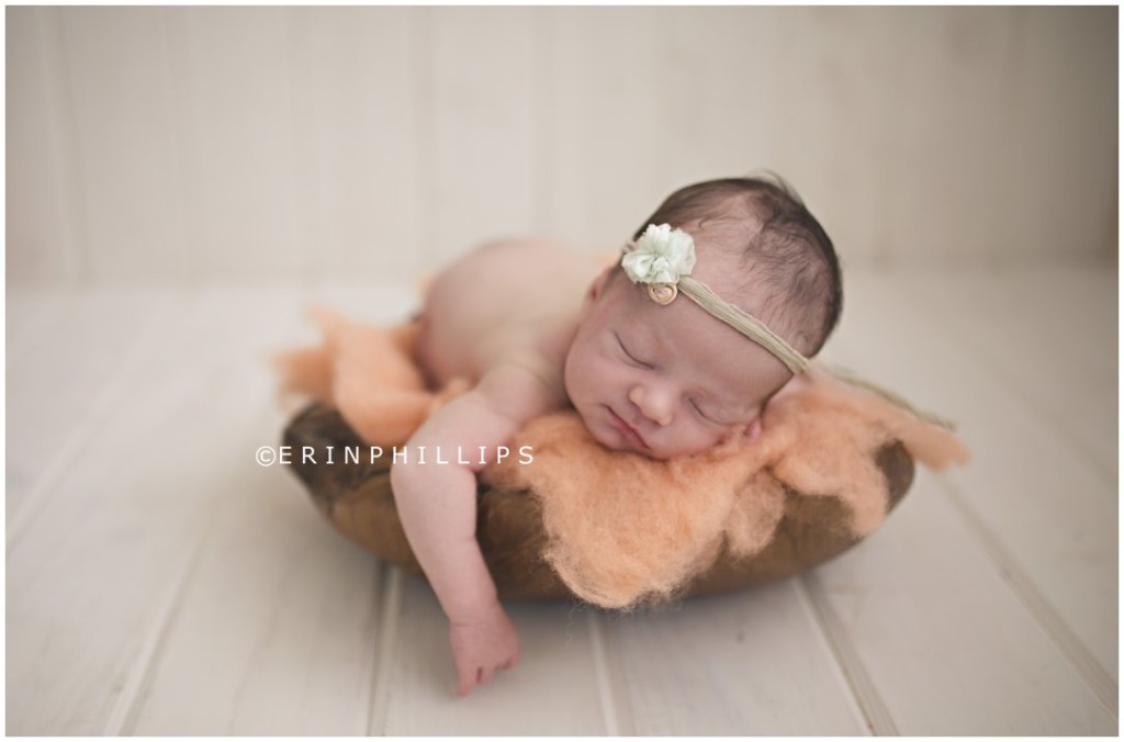 www.erinphillipsphotography.com